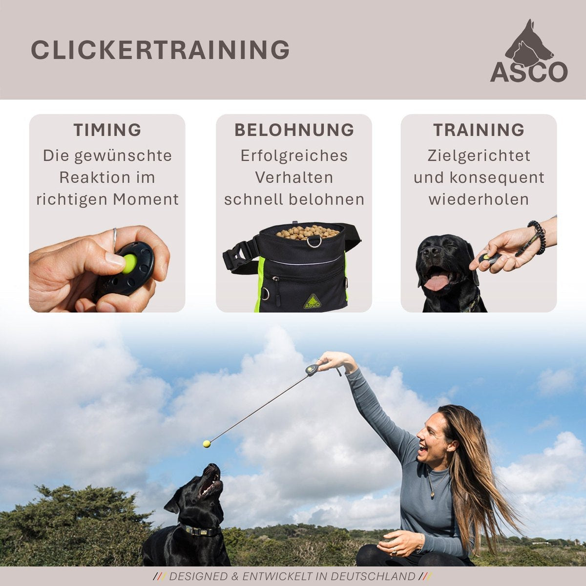ASCO ClickStick - Target Stick mit abnehmbarem Premium Clicker - Target Stab für Hunde Katzen Clickertraining - Targetstick ausziehbar mit extra Klicker - Targetstab für Target-Training tierxxl-de