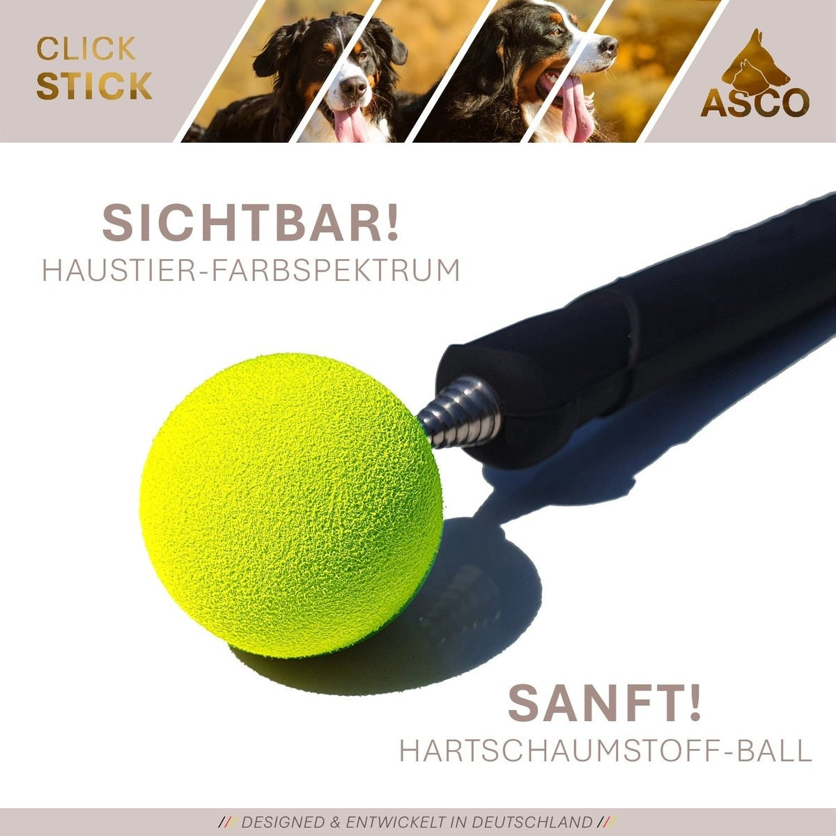 ASCO ClickStick - Target Stick mit abnehmbarem Premium Clicker - Target Stab für Hunde Katzen Clickertraining - Targetstick ausziehbar mit extra Klicker - Targetstab für Target-Training tierxxl-de