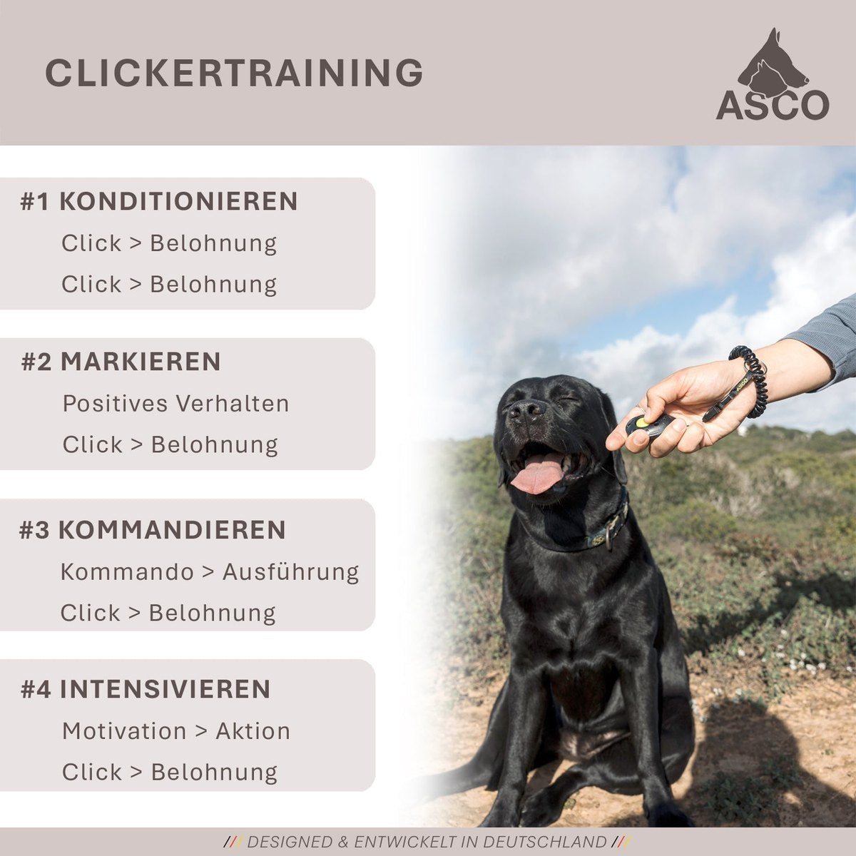 ASCO Finger Clicker – Clickertraining Premium Klicker für Hunde, Katzen, Pferde tierxxl-de