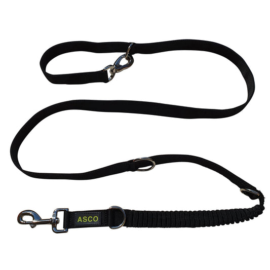 ASCO Hundeleine mit Ruckdämpfer 100-200 cm tierxxl-de