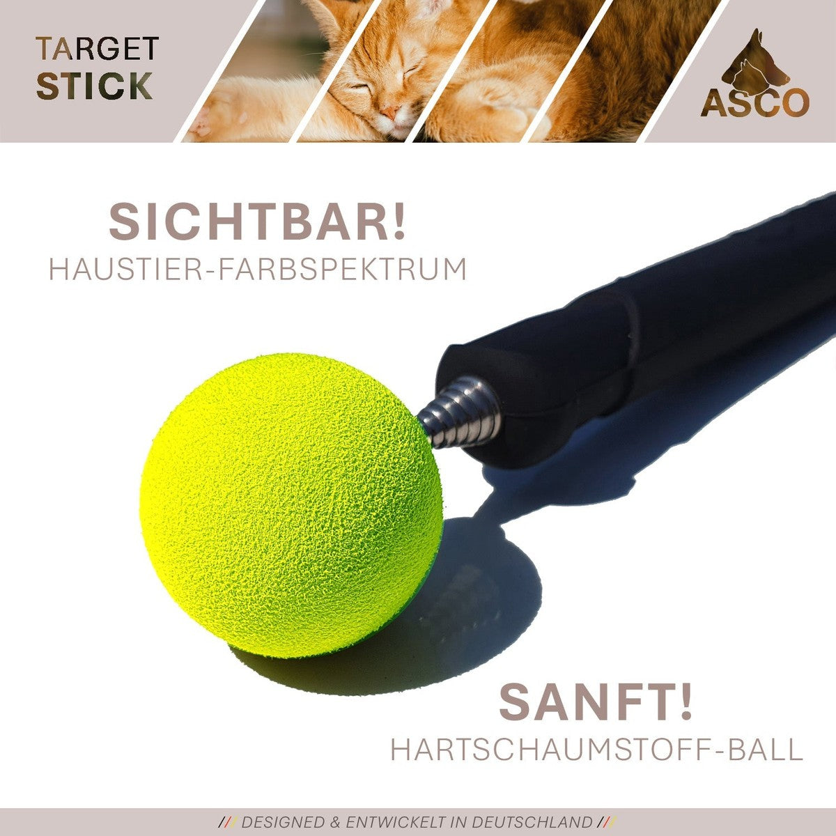 ASCO Target Stick - Target Stab für Hunde Katzen Targettraining - Targetstick ausziehbar mit Softball - Edelstahl Targetstab mit Teleskopfunktion tierxxl-de