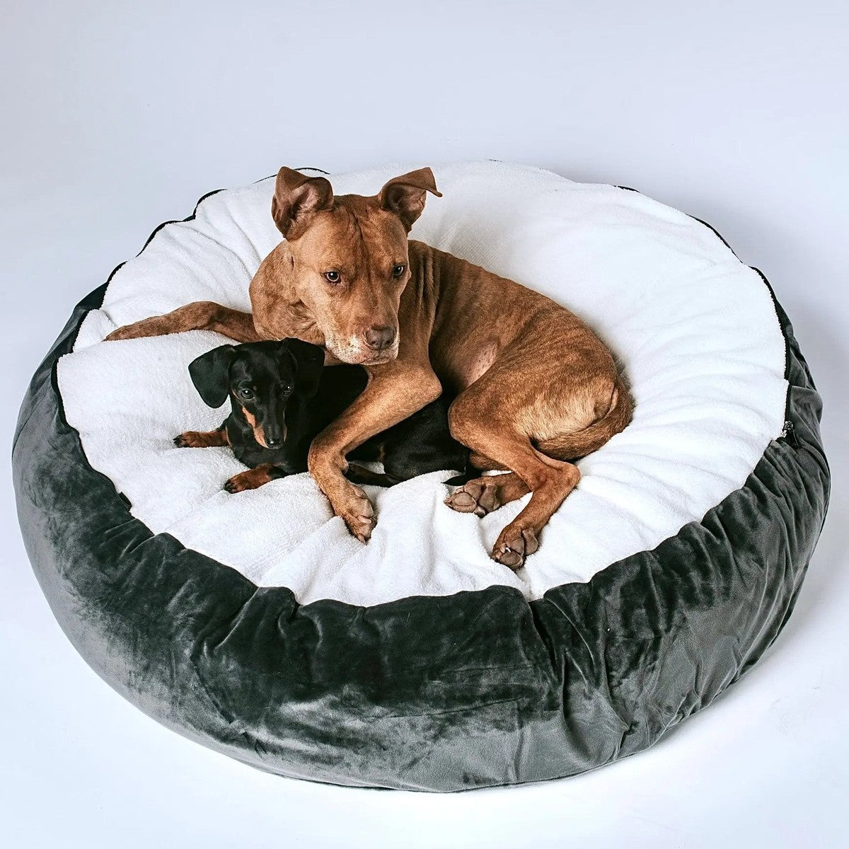 Kuscheliges Hundebett: Anti-Stress mit abnehmbarer Kuscheldecke tierxxl-de