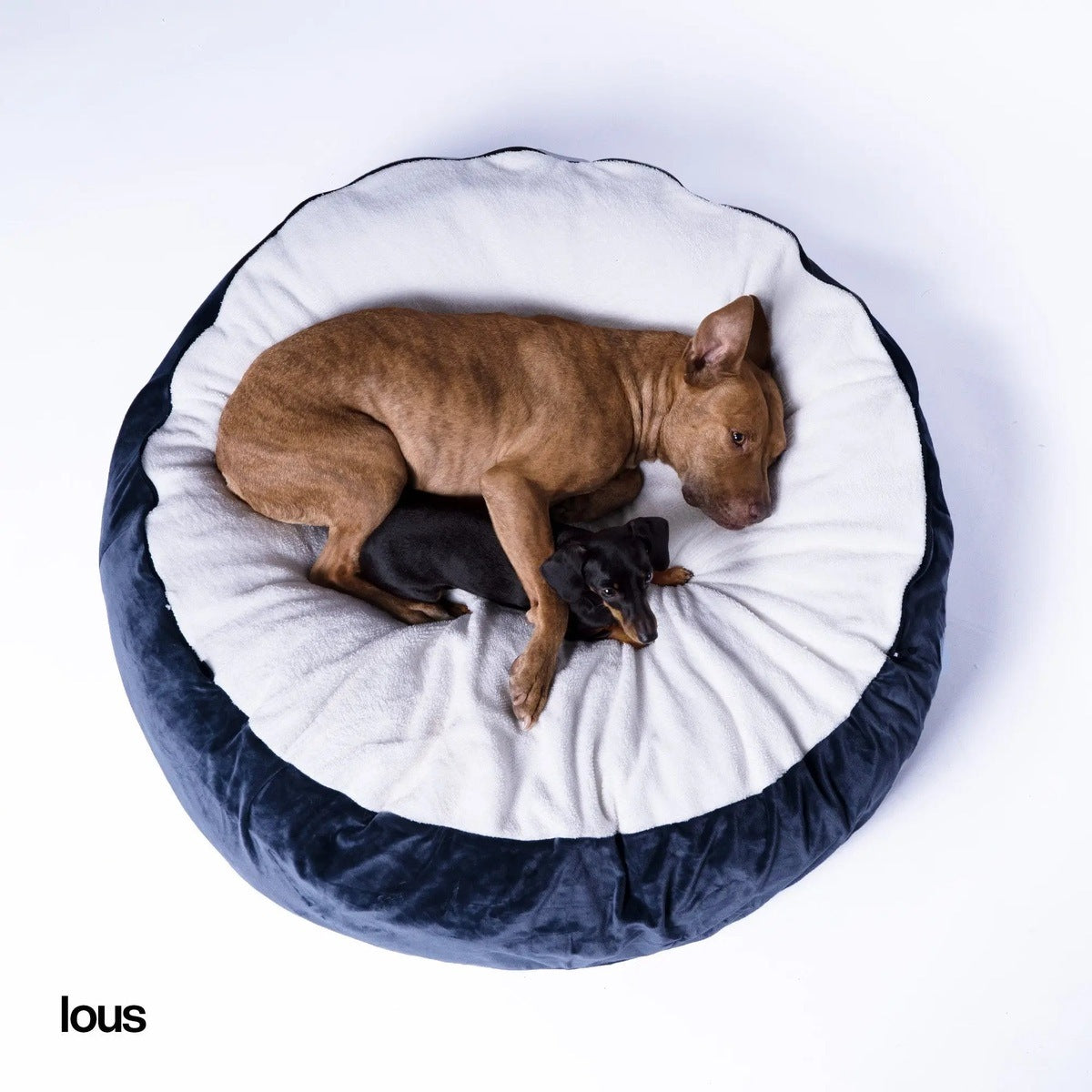 Kuscheliges Hundebett: Anti-Stress mit abnehmbarer Kuscheldecke tierxxl-de