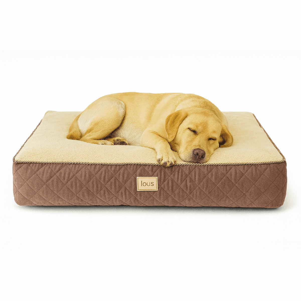 Lou's Premium Orthopädisches Hundekissen mit abnehmbarem waschbarem Bezug tierxxl-de