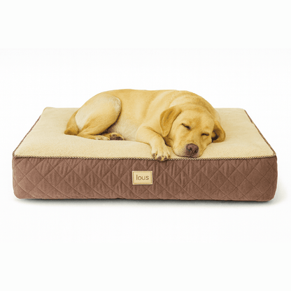 Lou's Premium Orthopädisches Hundekissen mit abnehmbarem waschbarem Bezug tierxxl-de