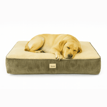 Lou's Premium Orthopädisches Hundekissen mit abnehmbarem waschbarem Bezug tierxxl-de