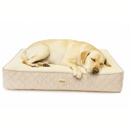 Lou's Premium Orthopädisches Hundekissen mit abnehmbarem waschbarem Bezug tierxxl-de