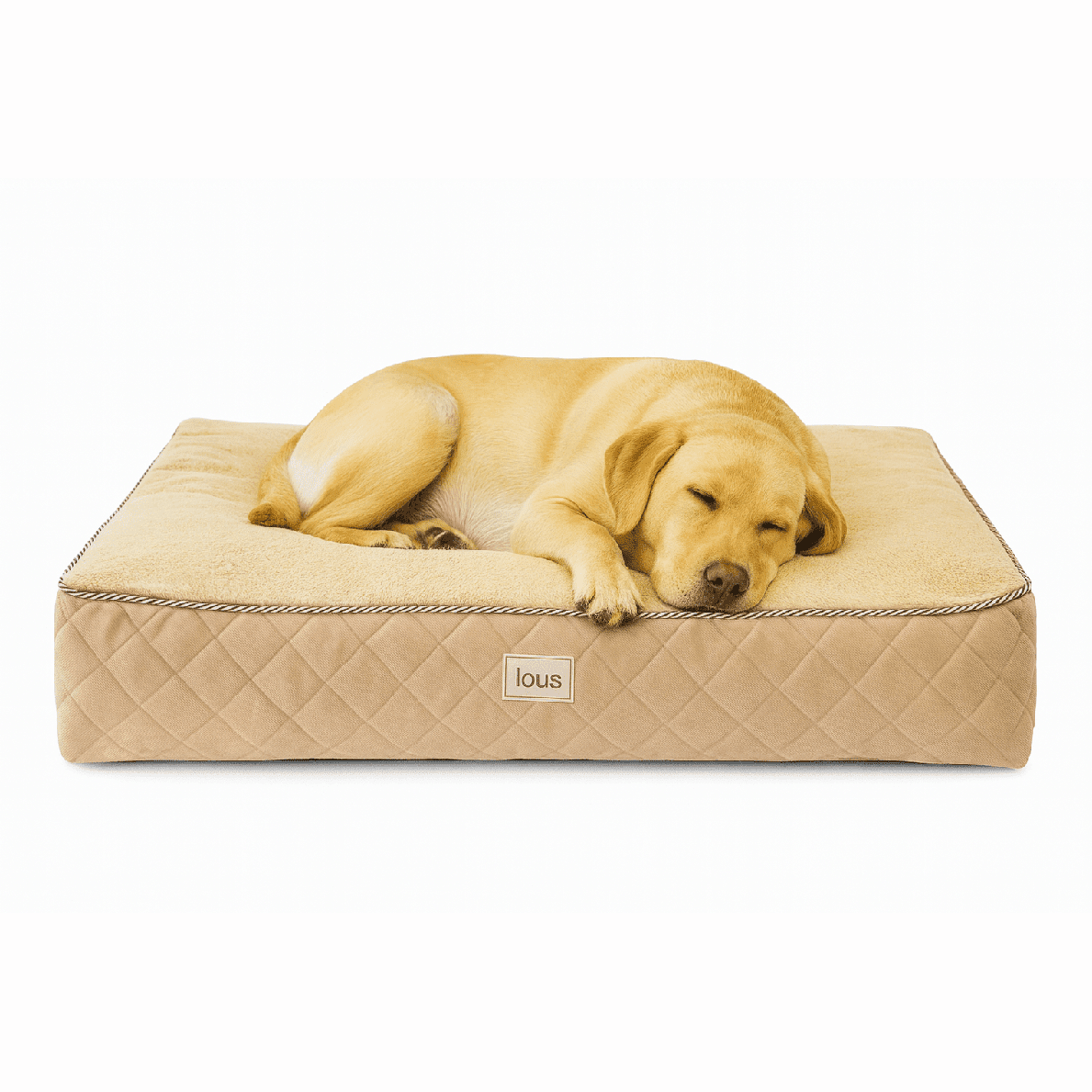 Lou's Premium Orthopädisches Hundekissen mit abnehmbarem waschbarem Bezug tierxxl-de