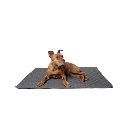 Lou's große und stilvolle Hundedecke tierxxl-de