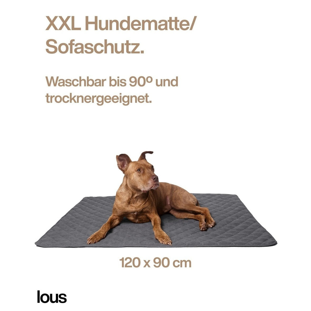 Lou's große und stilvolle Hundedecke tierxxl-de