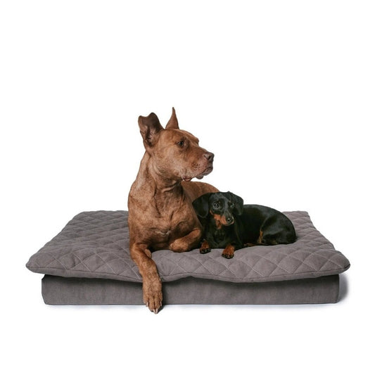 Lous 2 in 1 Hundebett mit abnehmbarem Topper für zu Hause und unterwegs. tierxxl-de