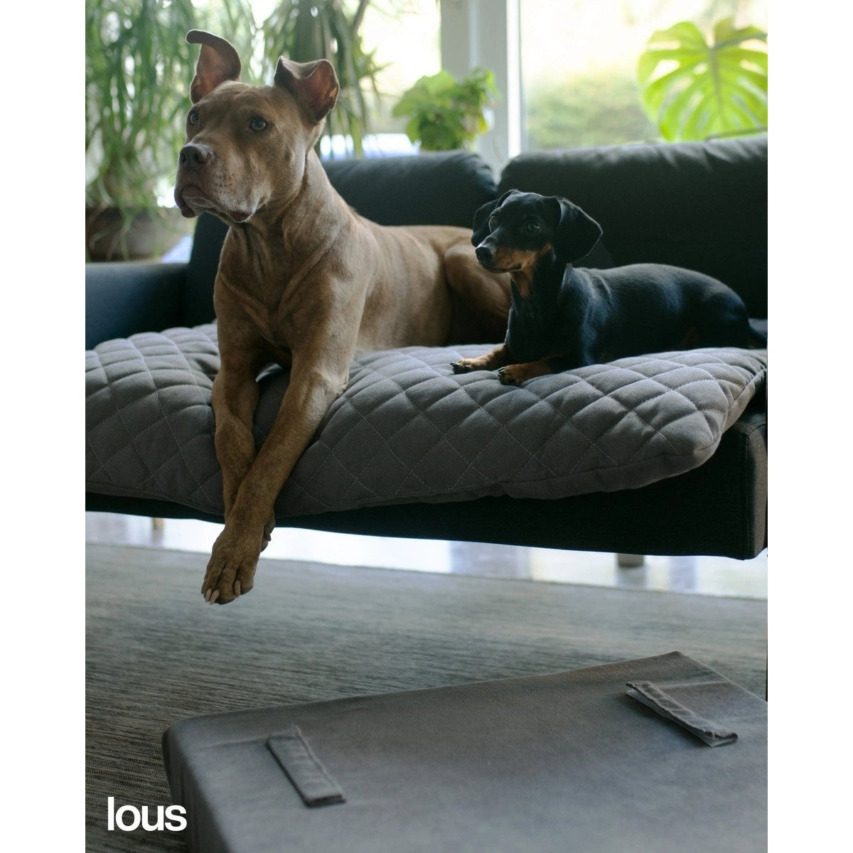 Lous 2 in 1 Hundebett mit abnehmbarem Topper für zu Hause und unterwegs. tierxxl-de