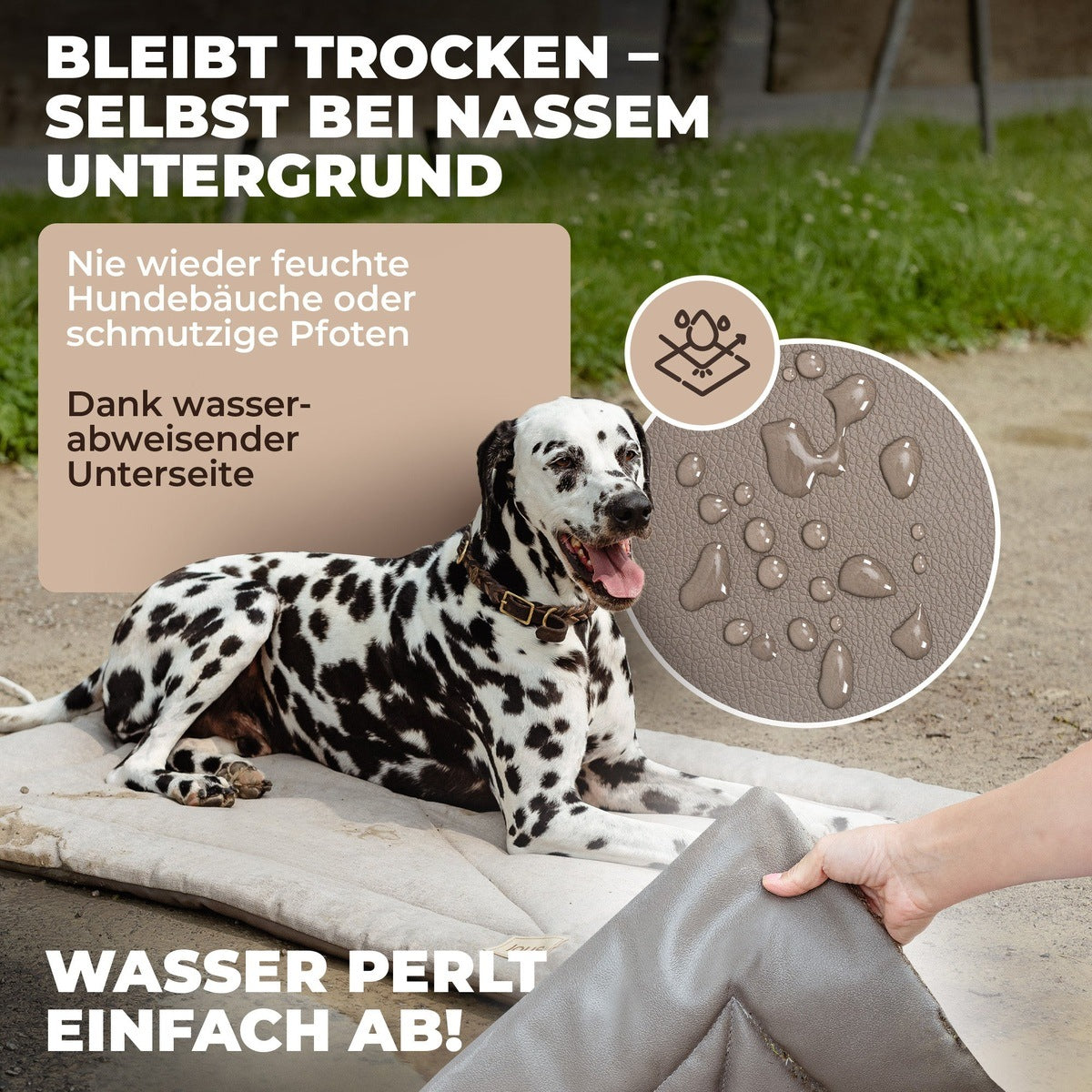 Lous Hunde Picknickdecke tierxxl-de