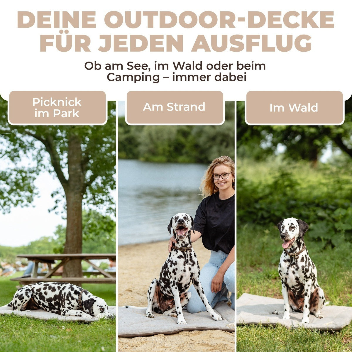 Lous Hunde Picknickdecke tierxxl-de