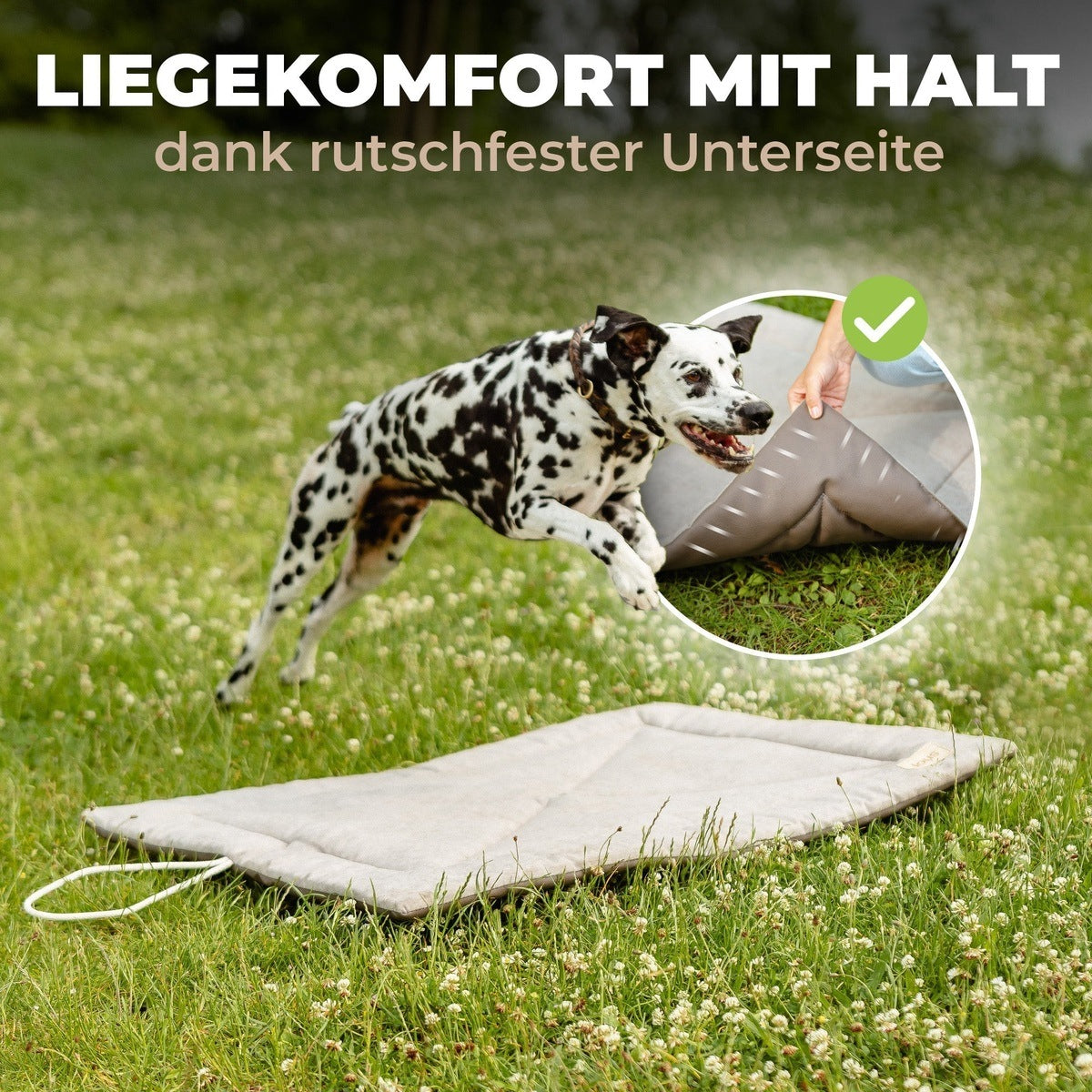 Lous Hunde Picknickdecke tierxxl-de