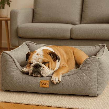 Lous Orthopädisches Hundebett – Premium Hundekissen tierxxl-de