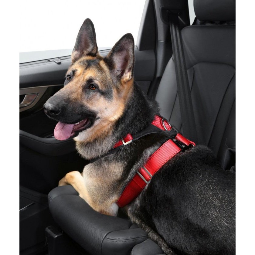 German shepherd shop seat belt