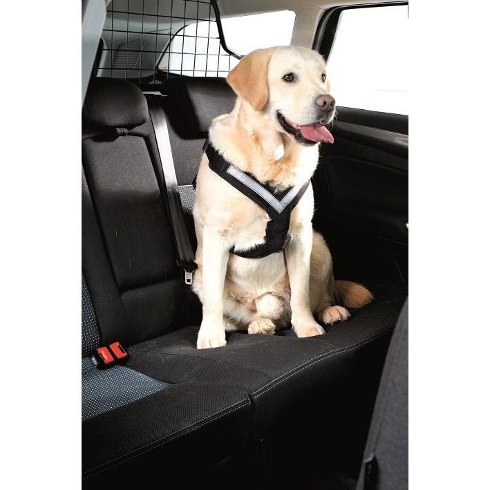 Kleinmetall Allsafe Hunde Sicherheitsgurt Anschnallgurt für Auto PKW S M L  XL