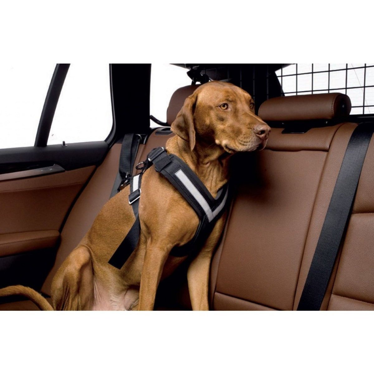 German shepherd seat sales belt