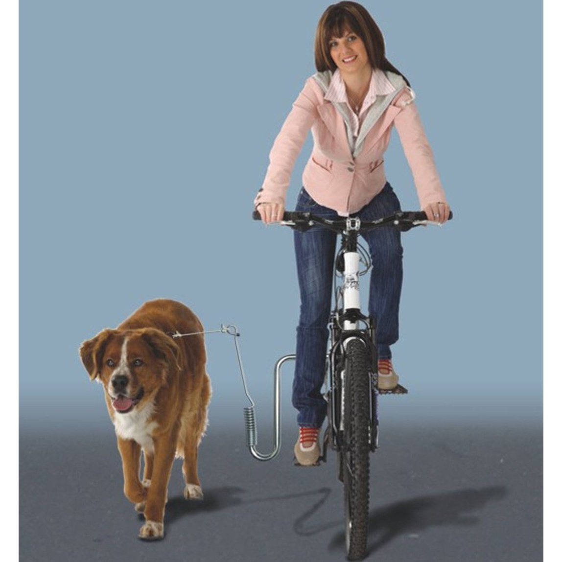 Kleinmetall Dogrunner Fahrradhalter für den Hund tierxxl-de