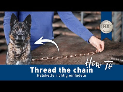 Sprenger dog necklace (long link type), 4mm matt stainless steel
